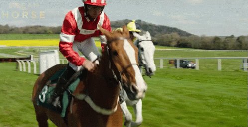 Horse Race Dream Horse GIF