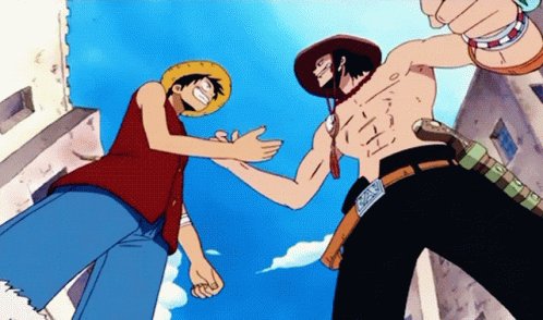 Portgas D Ace Luffy GIF