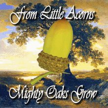 From Little Acorns Mighty Oaks Grow Oak Tree GIF