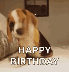  Happy 12th Birthday, Mr. T! Glad that Mr B was able to join in the celebration. 