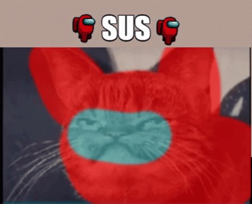 SUS CAT - Roblox