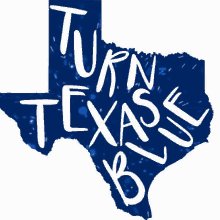 Turn Texas Blue Flip Texas GIF