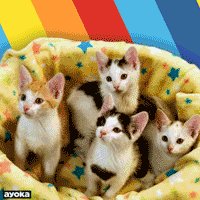 Image of this social media content