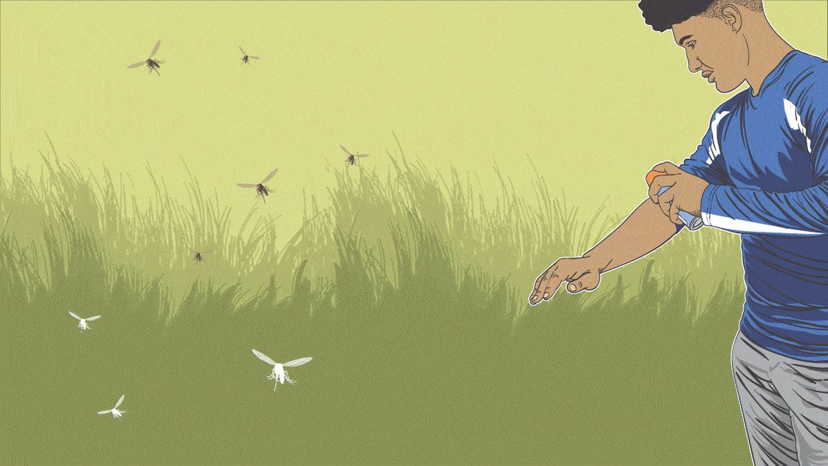 CDC على تويتر "FightTheBite this MemorialDay weekend with an EPA