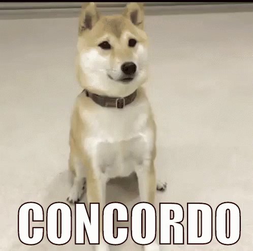Concordando Cachorro Sim GIF