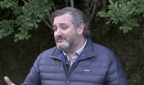 Ted Cruz Cancun GIF by GIPH...