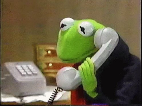 Kermit Phone Call GIF