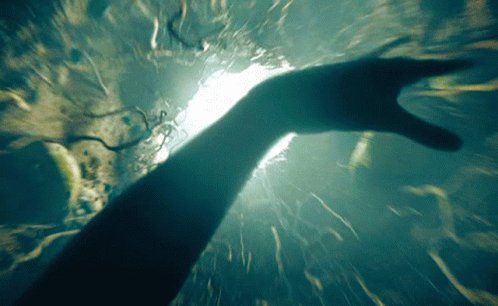 Rabbit Hole Mjc GIF