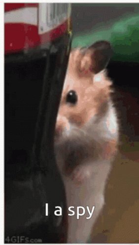 Spy Hamster GIF