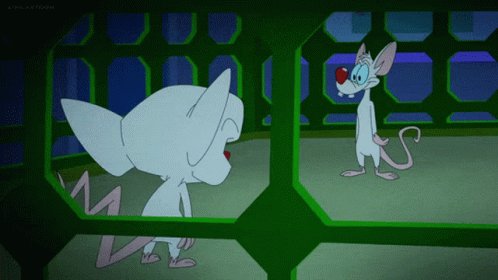 Animaniacs The Brain GIF