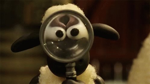 Magnify Magnifying Glass GIF
