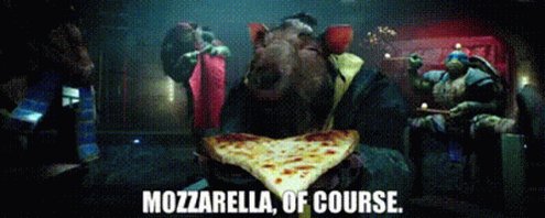 Tmnt Master Splinter GIF