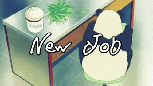 New Job Panda GIF