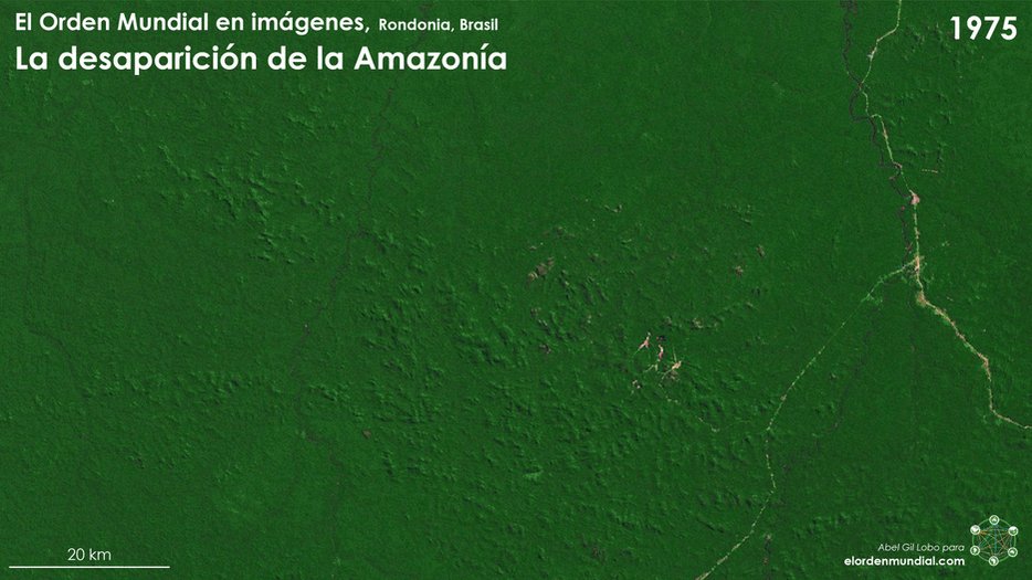 Desaparición del Amazonas (1975-2015).