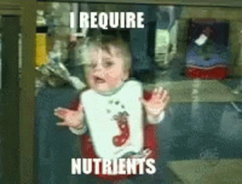 Hangry Hungry GIF