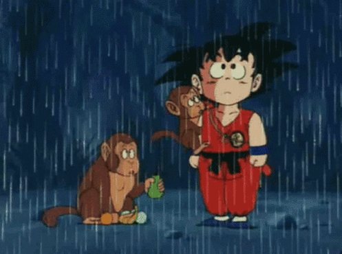 Dragon Ball Z Son Goku GIF