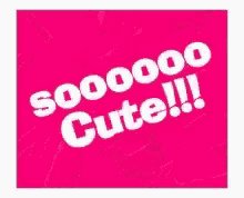 Graciebon.fanpage on Twitter: &ldquo;https://t.co/Ka9bYylX4I&rdquo; / Twitter