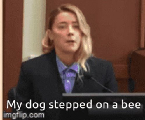 amber heard dog stepped on a bee Memes & GIFs - Imgflip