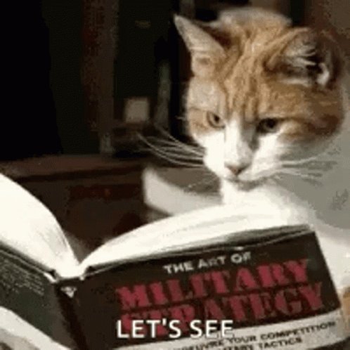 Cat Reading GIF