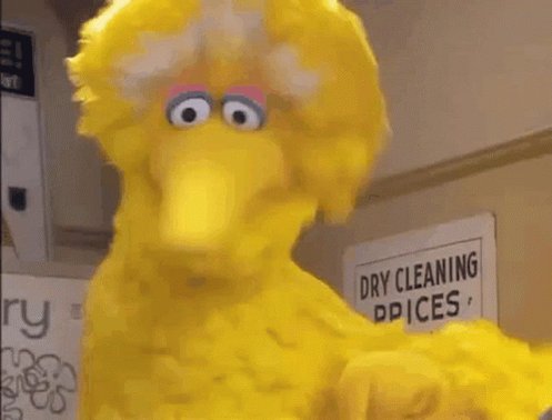 DOSSHAQUIS on Twitter: "Ain’t you supposed to fucking big bird on a