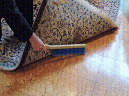 Sweep Sweep Under Rug GIF