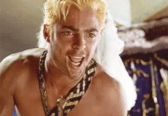 Happy Birthday Karl Urban. I have been a fan since Xena and Hercules. 