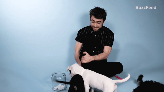 Dan Radcliffe Japanさん がハッシュタグ ダニエルラドクリフ をつけたツイート一覧 6 Whotwi グラフィカルtwitter分析