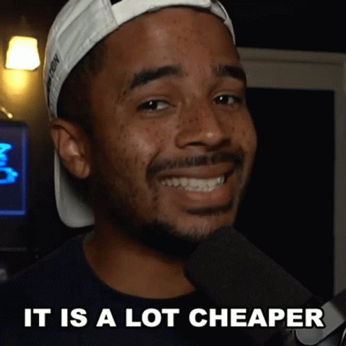 It Is A Lot Cheaper Raynday Gaming GIF