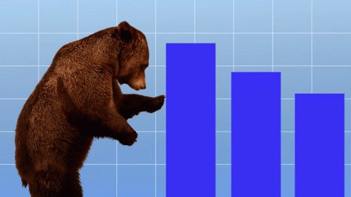 Stock Market Bear Market GIF