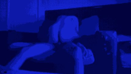 New video for you soon so don't forget to subscribe on PornhubModels: https://t.co/Lh6urIXIwV https://t<a href="/tag/phmodelcontest"class="tags"><span>#phmodelcontest</span></a>