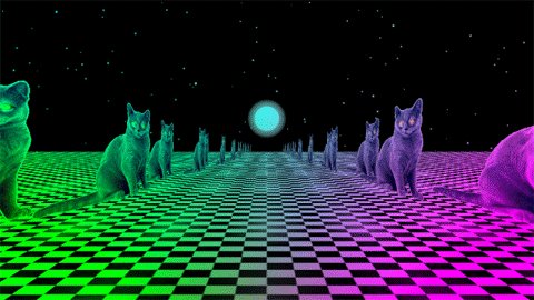 Pop Art Cats GIF by Omer Studios