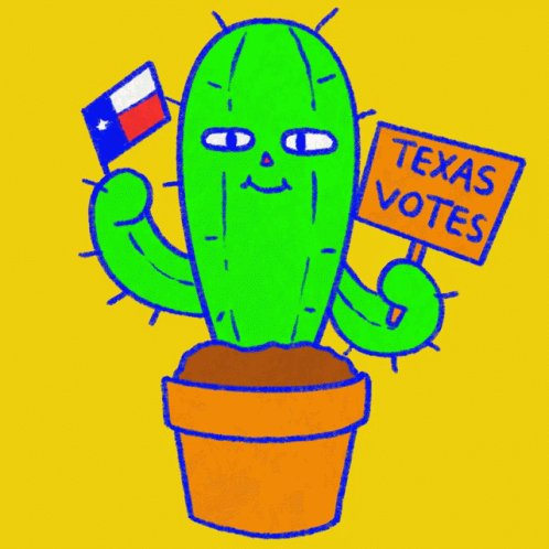 Texas Votes Tx GIF