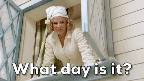 Amy Sedaris What Day Is It GIF by truTV’s At Home with Amy