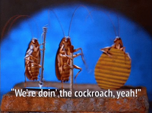 Cockroach Modest Mouse GIF