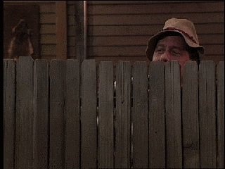 neighbors GIF