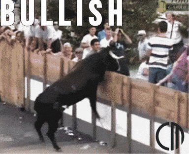 Cryptocurrency Bullrun GIF ...