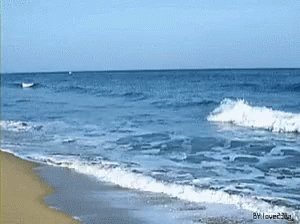 Sea Beach GIF