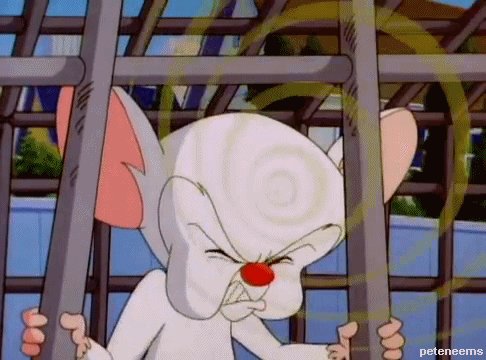 pinky and the brain 90s GIF