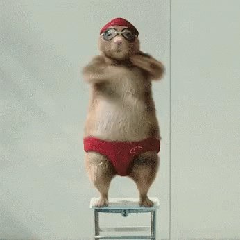 Dive Chipmunk GIF