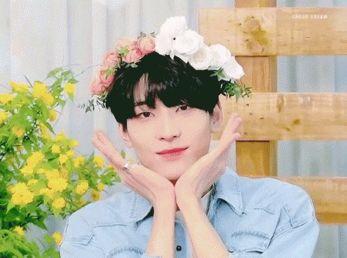 Wonwoo Jeon GIF