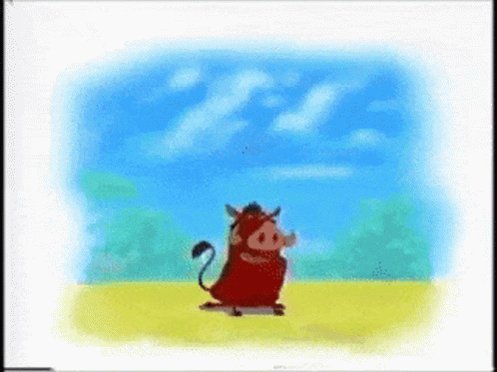 Timon And Pumbaa Inflation GIF