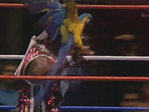 Happy Birthday to Hall of Famer Koko B. Ware, turning 64 today   