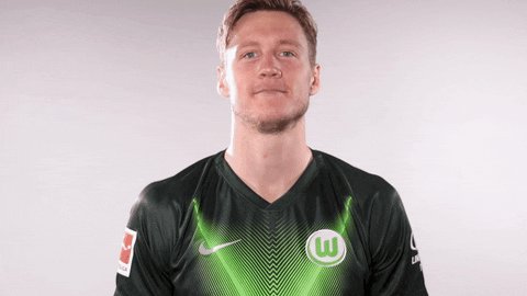 Wout Weghorst Soccer GIF by...