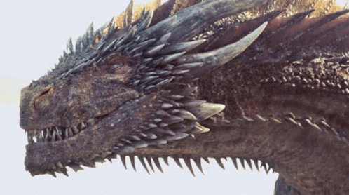 Game Of Thrones Dragon GIF