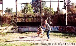 Home Run Baseball GIF by 20...
