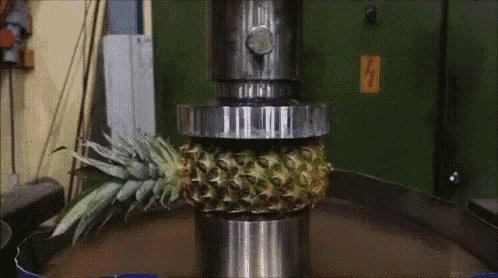 Pineapple Squeeze GIF