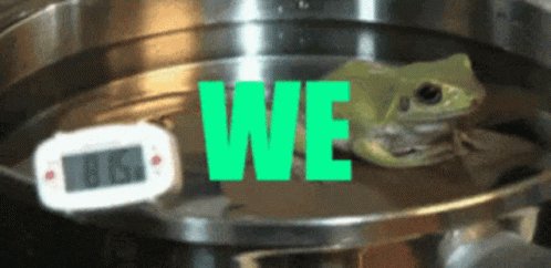 We Got This Boiling Frog GIF