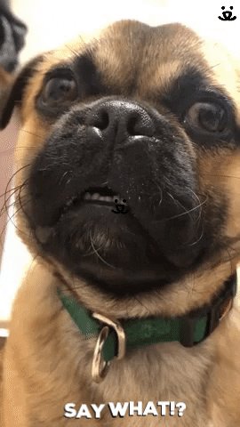 Image of this social media content