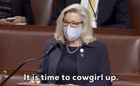 Liz Cheney GIF by GIPHY News