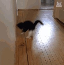 Playful Energy GIF